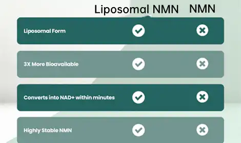 Liposomal NMN vs Standard NMN: Does Delivery Technology Actually Improve Absorption?